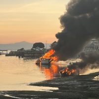 Oyster cove fire