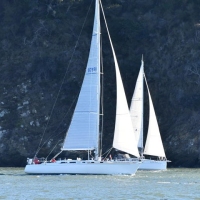 Neighborly boats heading along the Angel Island shoreline.  © John Arndt