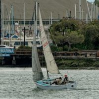 Island YC race November 16 © Slackwater_SF
