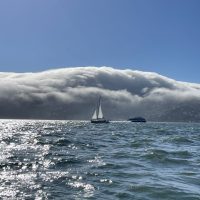 IMG_26821-scaled