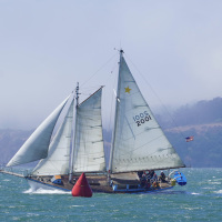 Jim Cullen's 'Gold Star'