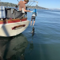 FullSizeRender-scaled