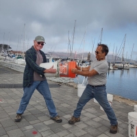 Start by separating the collection buckets.