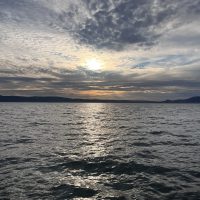 IMG_8421