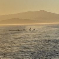 IMG_4382-scaled