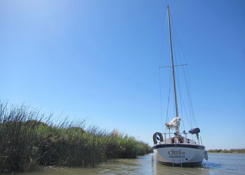 Olive at anchor