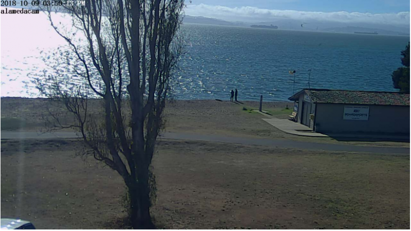 sausalito yacht club webcam