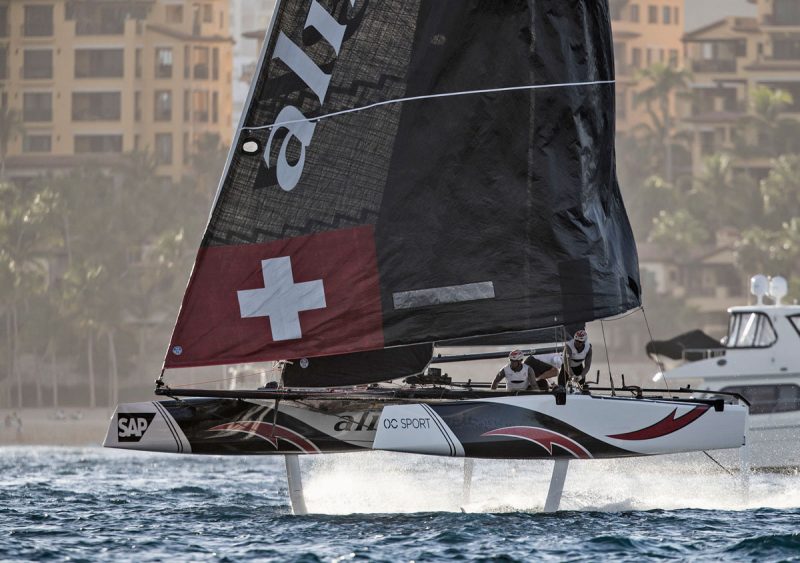 Alinghi's cat