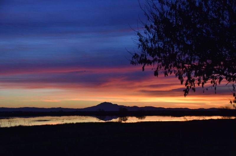 Twilight in the Delta