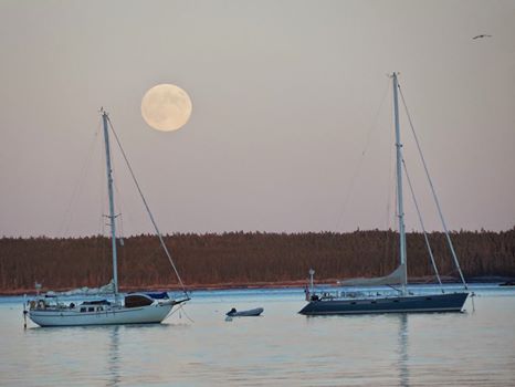 Super Moon
