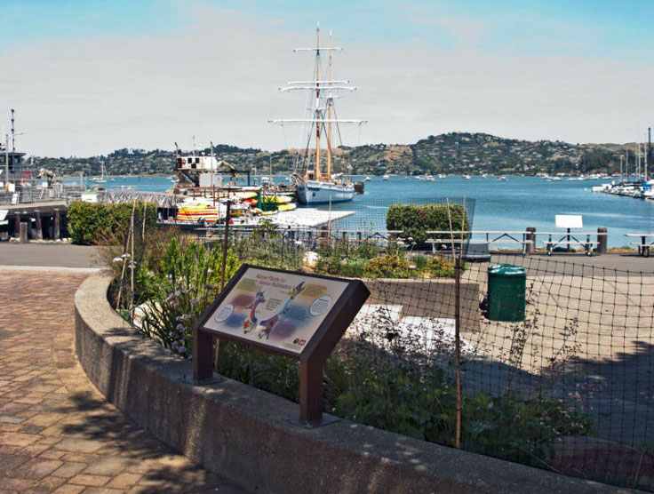 Courtyard of Bay Model looking at Richardson Bay