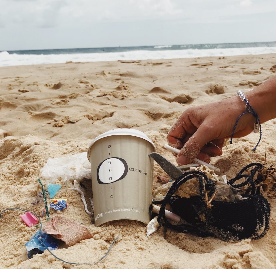 Ocean clean up starts on shore.