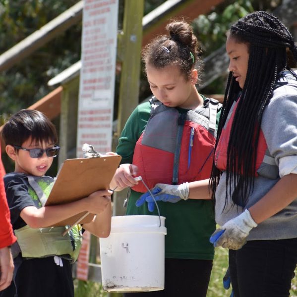 KIds logging trash