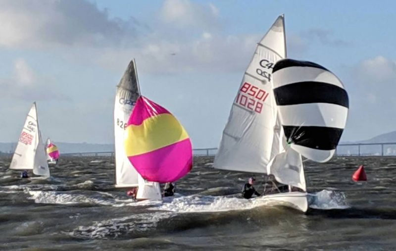 C420s with spinnakers