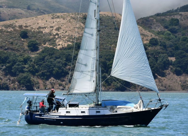 Sunny side San Francisco Bay sailing