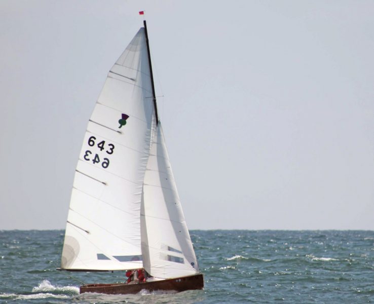 Thistle sailboat