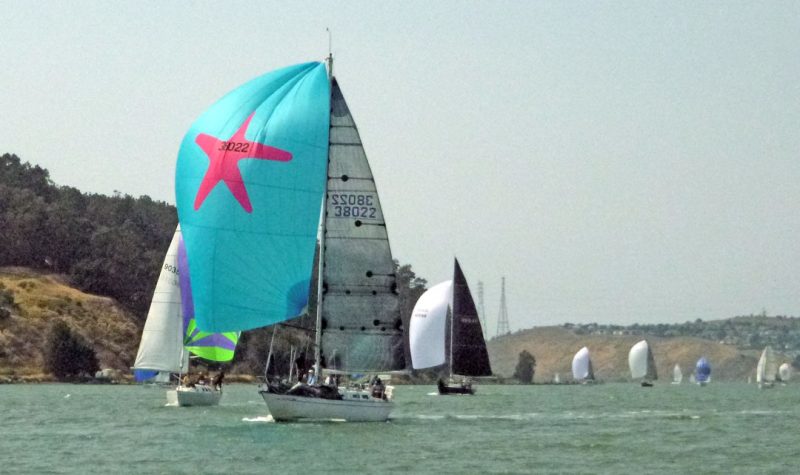 Sea Star on Carquinez Strait