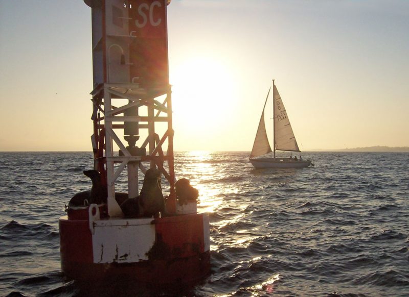 Mile buoy with seals and boat