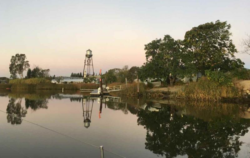 Napa River view