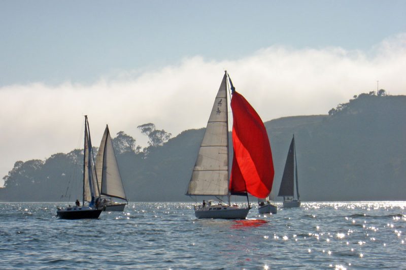 Sailboats at Angel Island