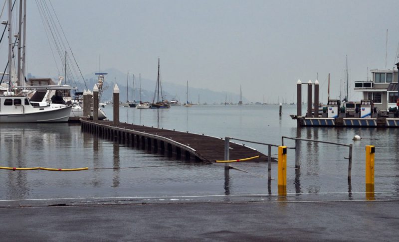 King Tide at Clipper Harbor flooded