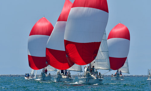 Catalina 37s with red and white spinnakers