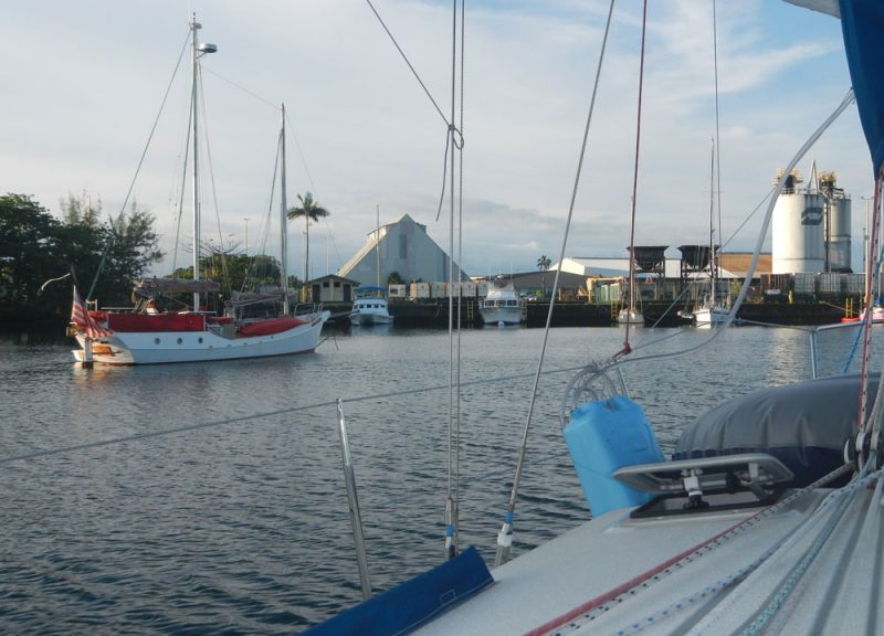 cruisers moored in Radio Bay