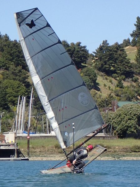 Sunny Moth sailing