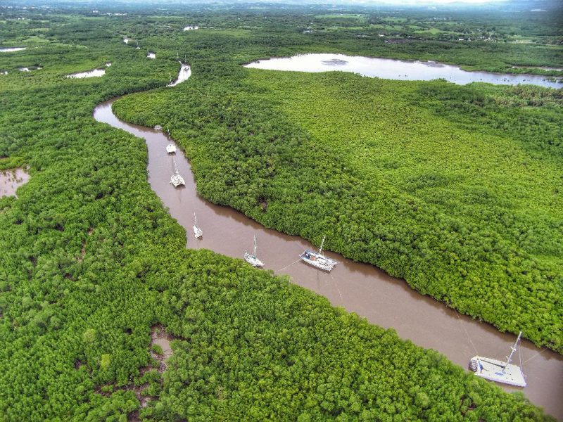 aerial shot of boats tied up in mangroves