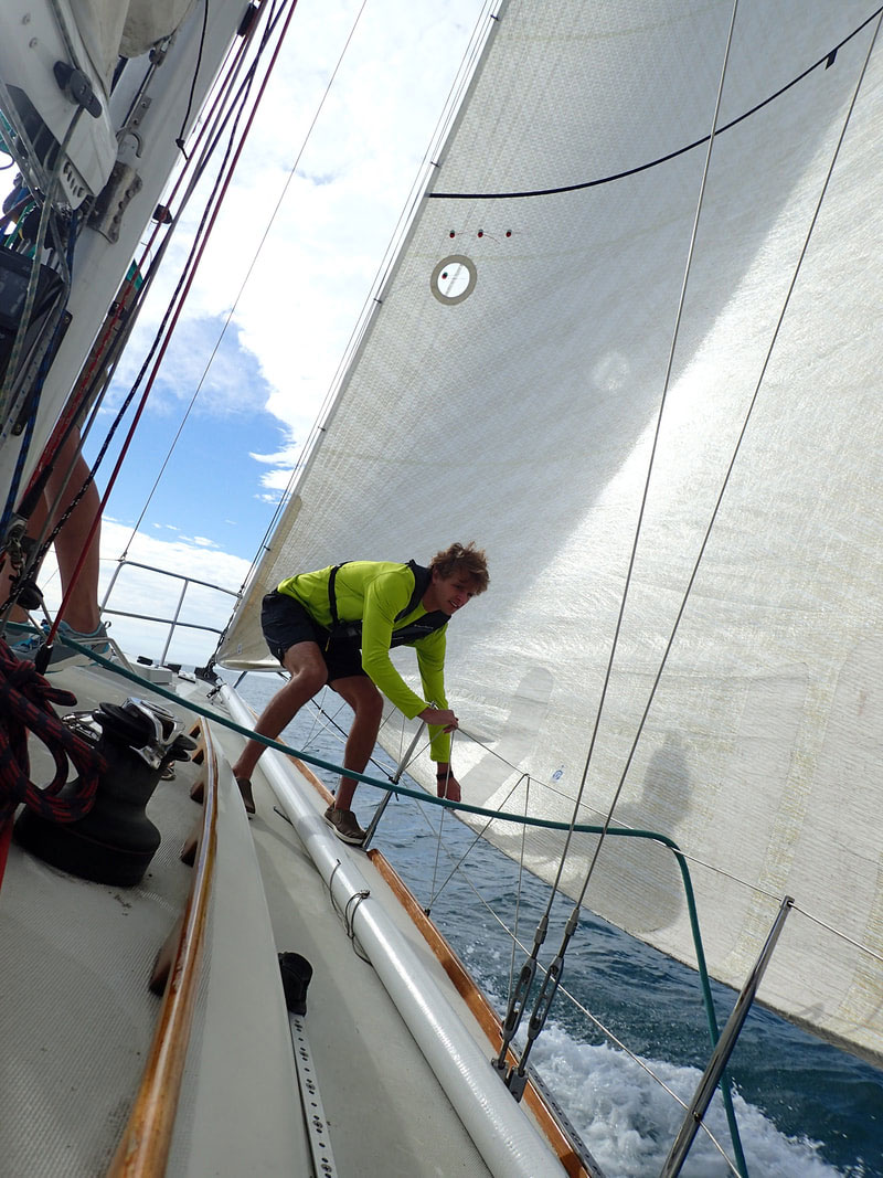 cal 40 sailboat review