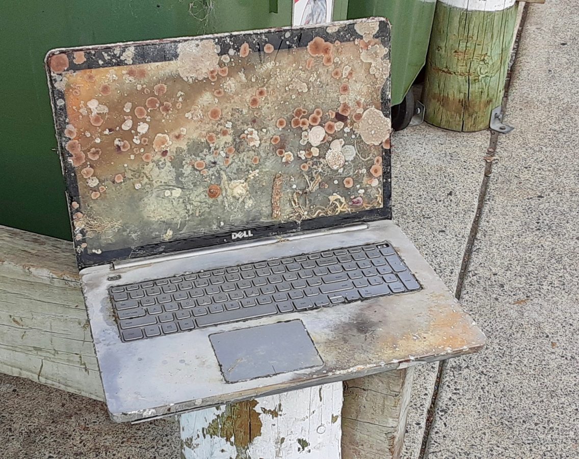 Dell laptop