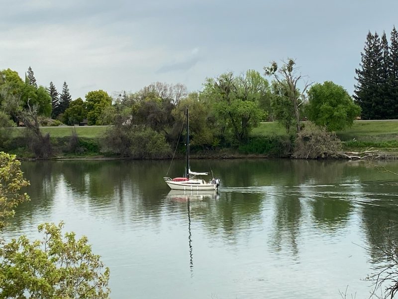 Penelope in Sacramento