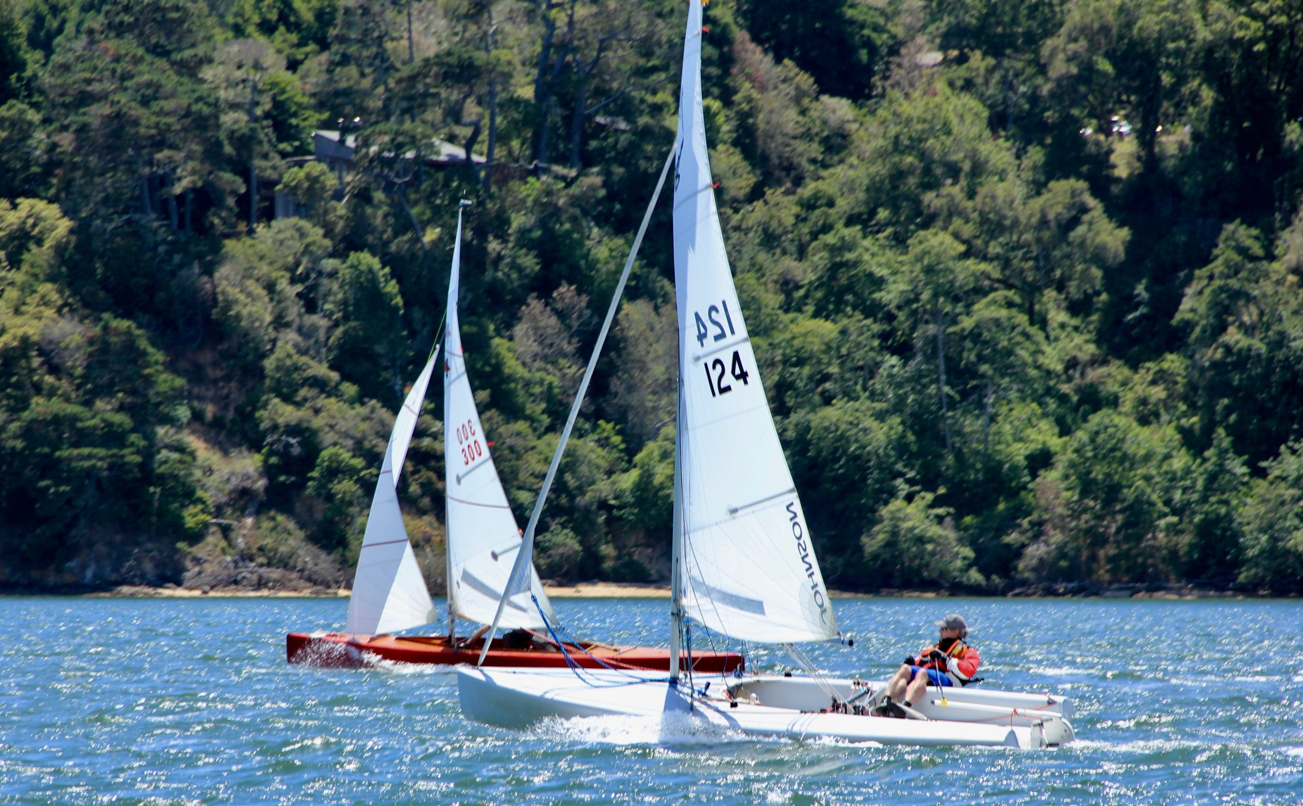 Open Class and solo sailing