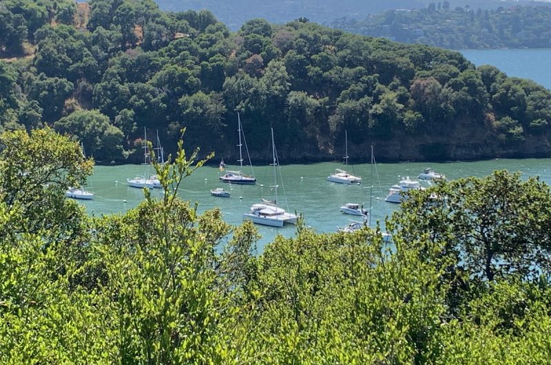 Boats moored in Ayala Cove at Angel Island