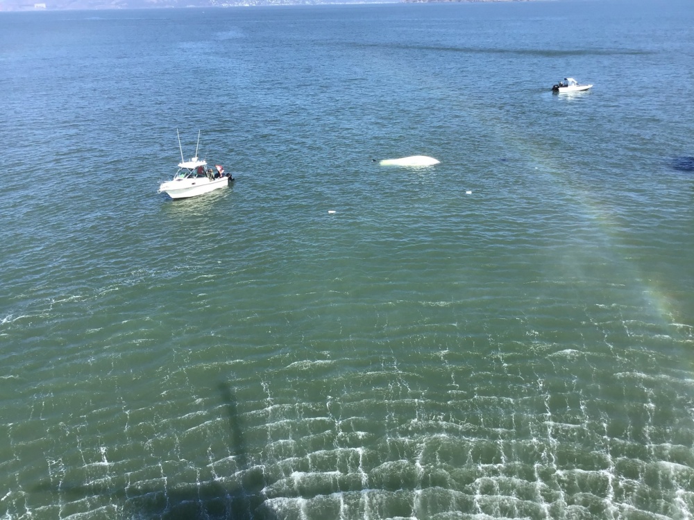 USCG rescues three from capsized vessel