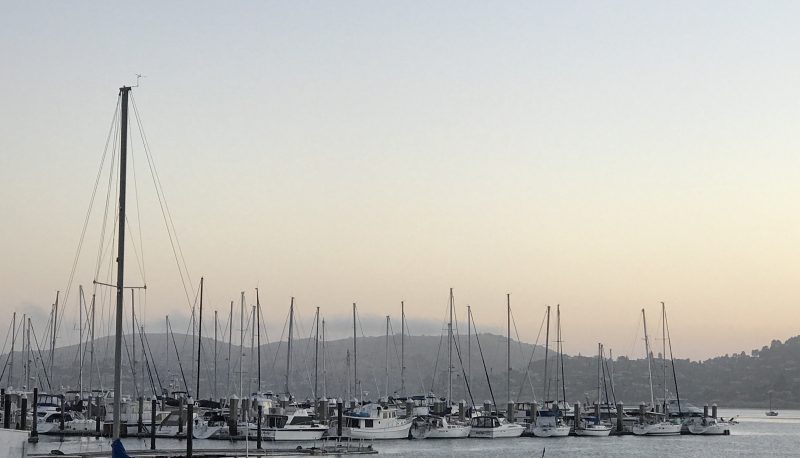 Boats in Marina Berths