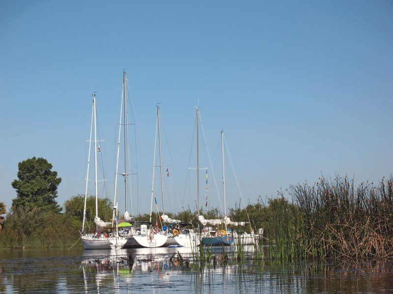 Potato Slough