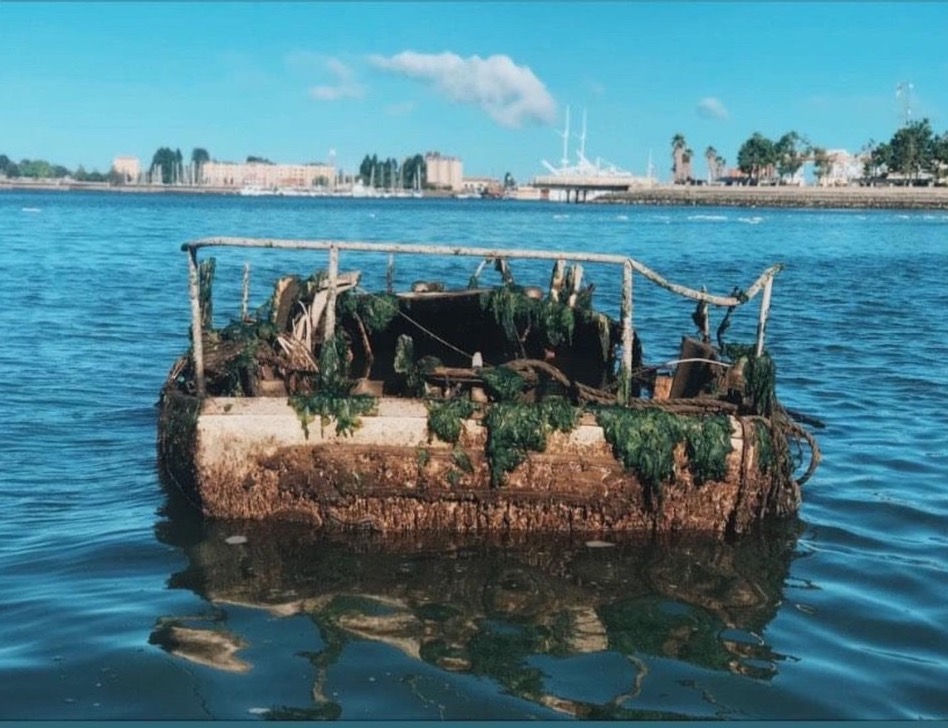 Sea Sharp ll mostly submerged and cover in weeds