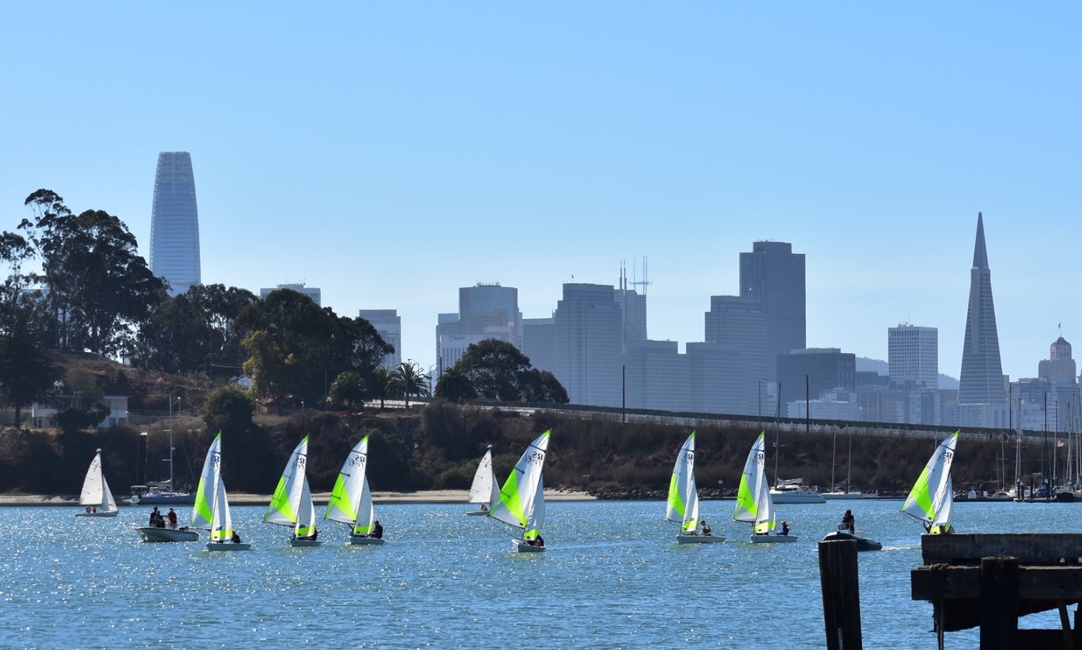 Small sailboats on the Bay