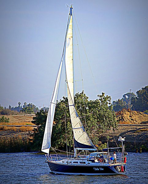 Stella Blue sailing on the Delta