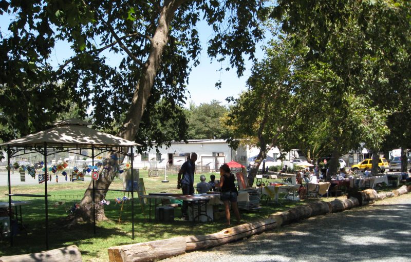 Sunday Market at Delta Bay