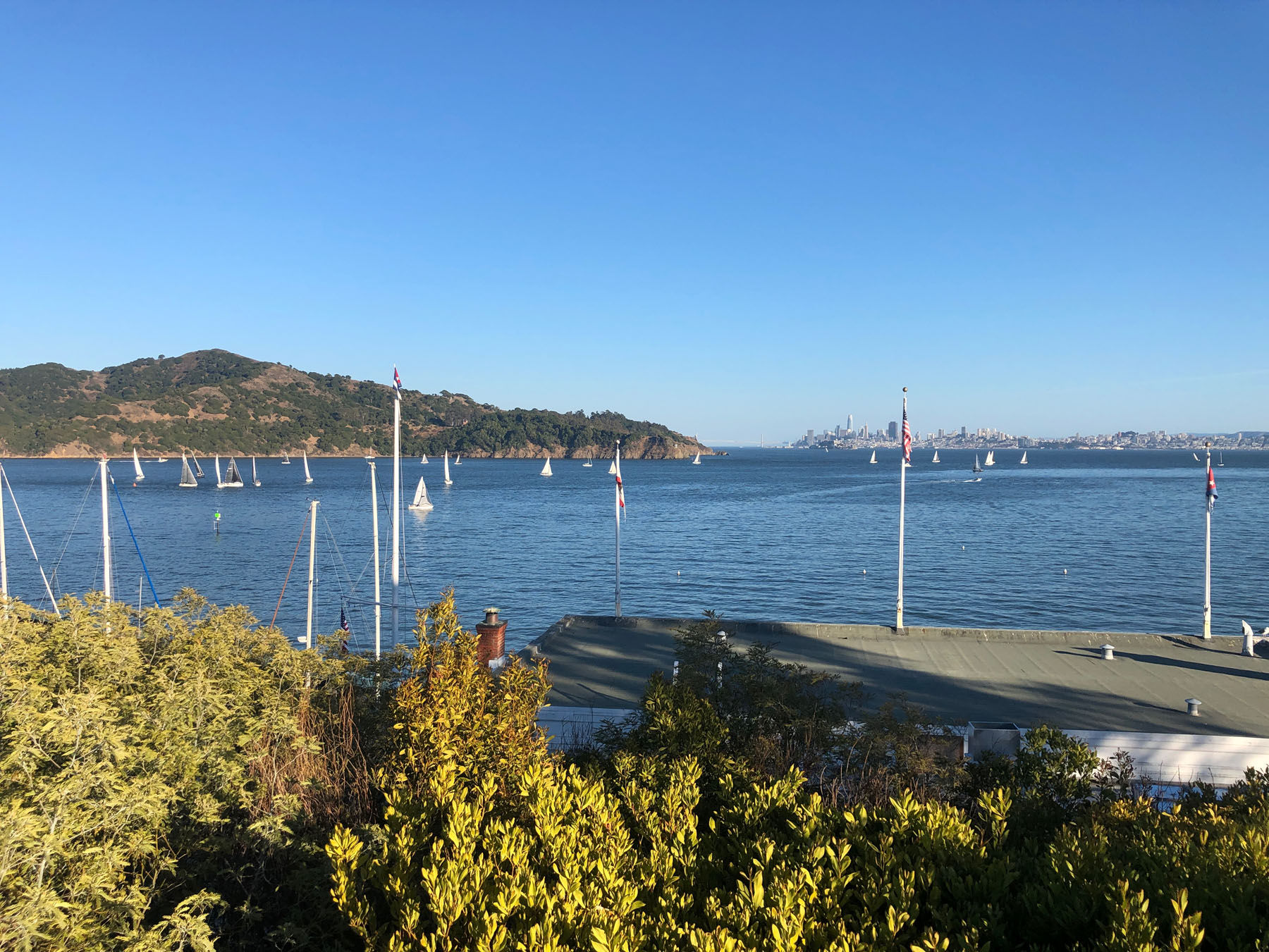 Cool and calm in Tiburon