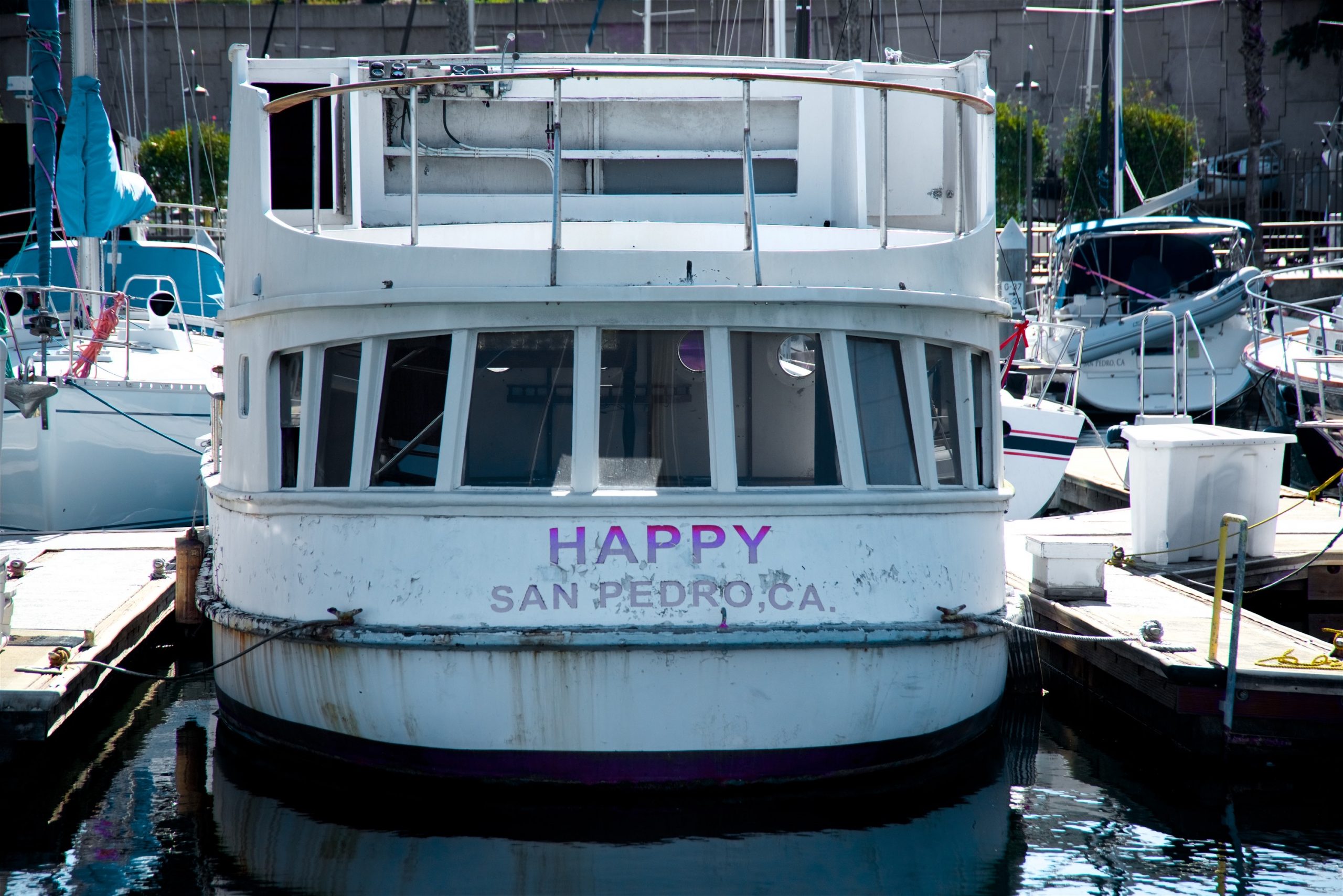 Happy at the dock