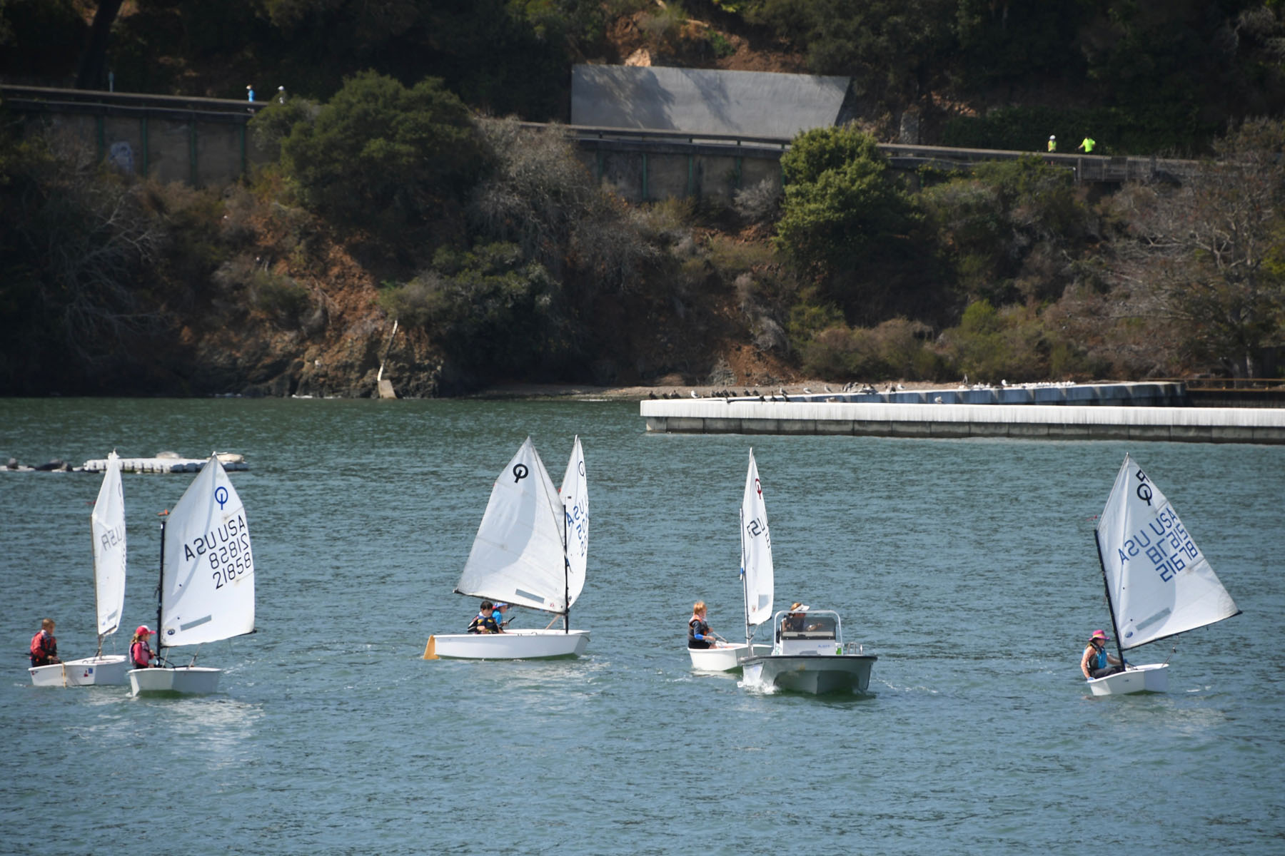 San Francisco Yacht Club Youth Sailing