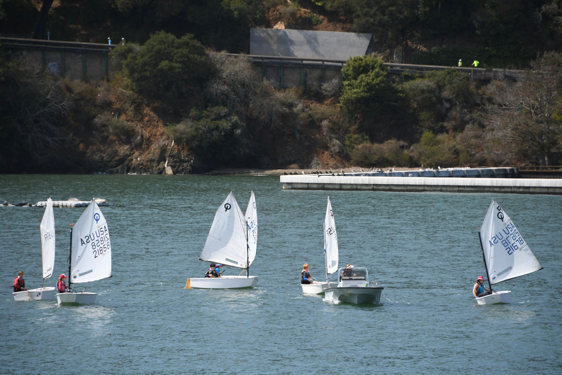 san francisco yacht club youth sailing