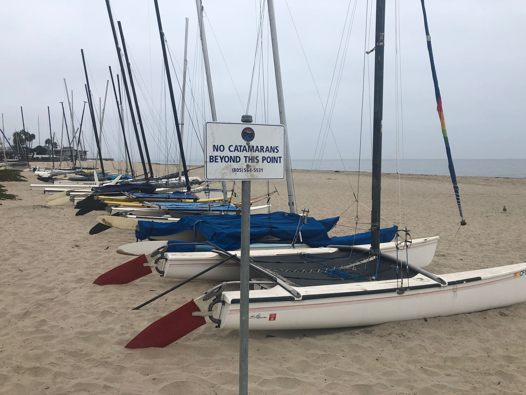 Beach Cat signs