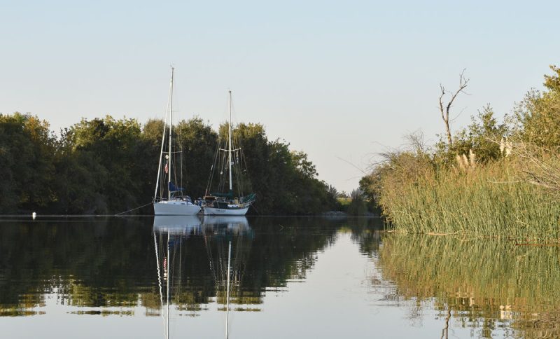 Two boats anchored near trees