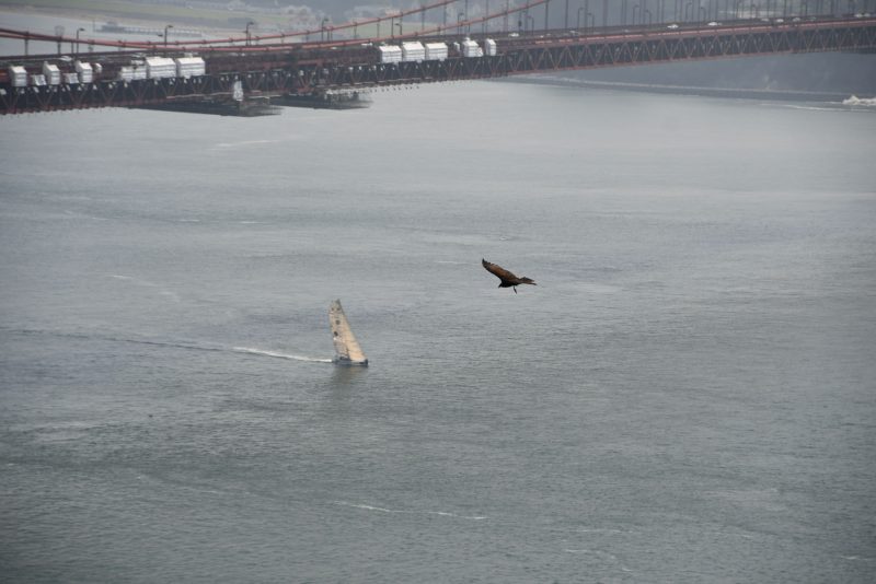 Changabang takes flight