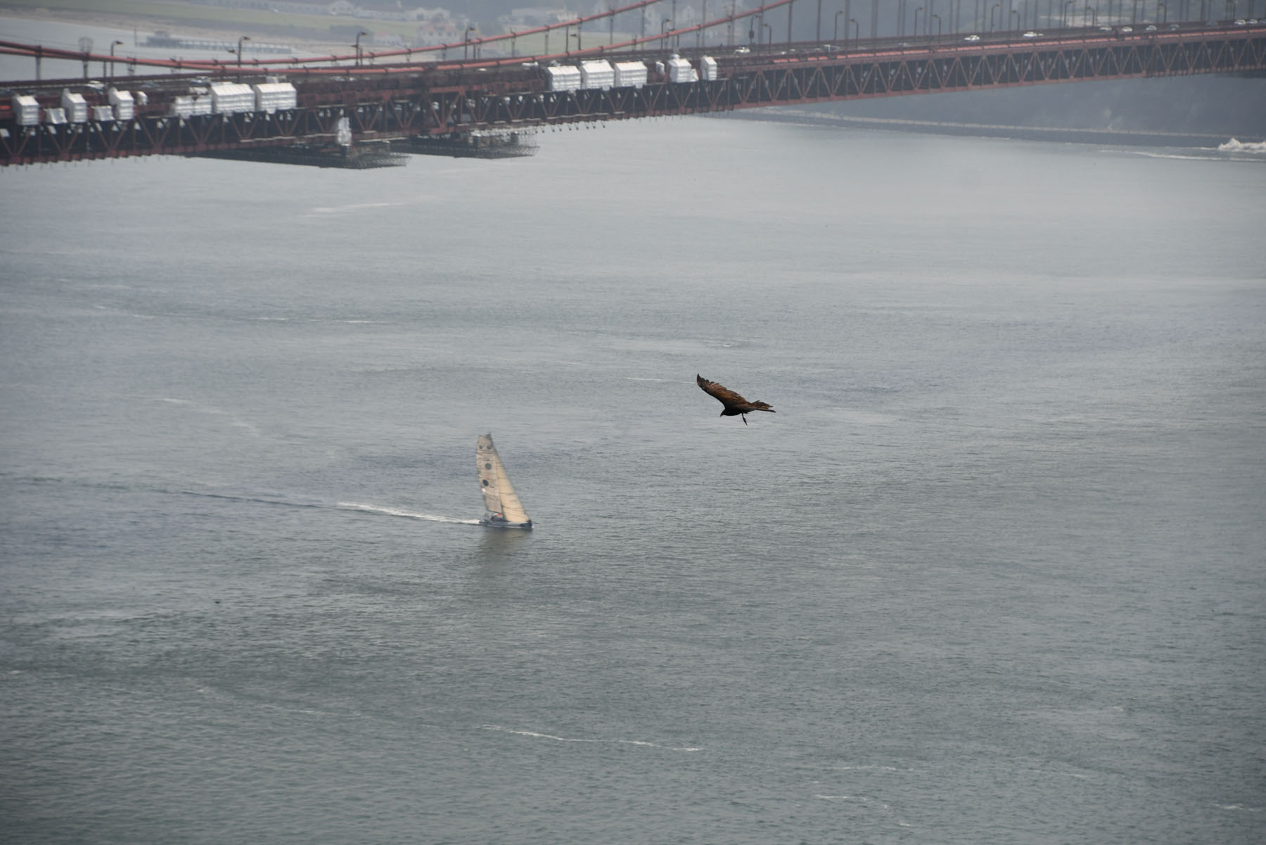 Changabang sails under Golden Gate Bridge