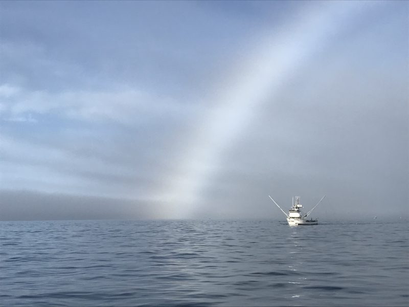 Fishing boat under fogbow